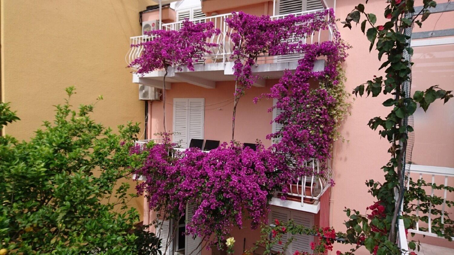 Apartments Ora Orebić Dış mekan fotoğraf